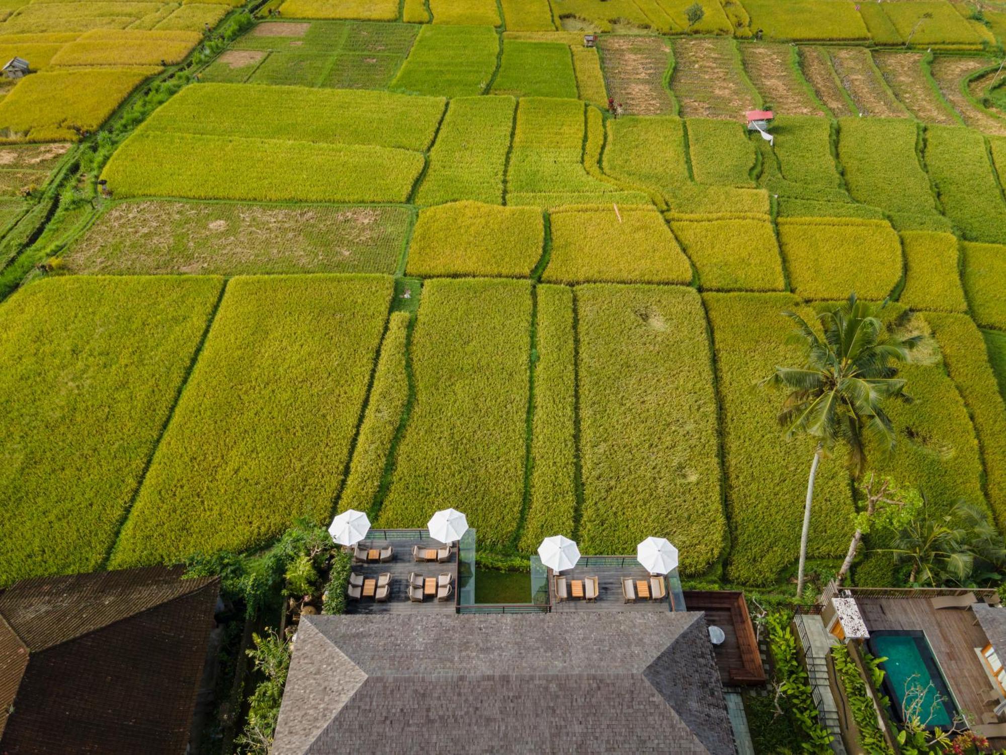 Kappa Senses Ubud 외부 사진