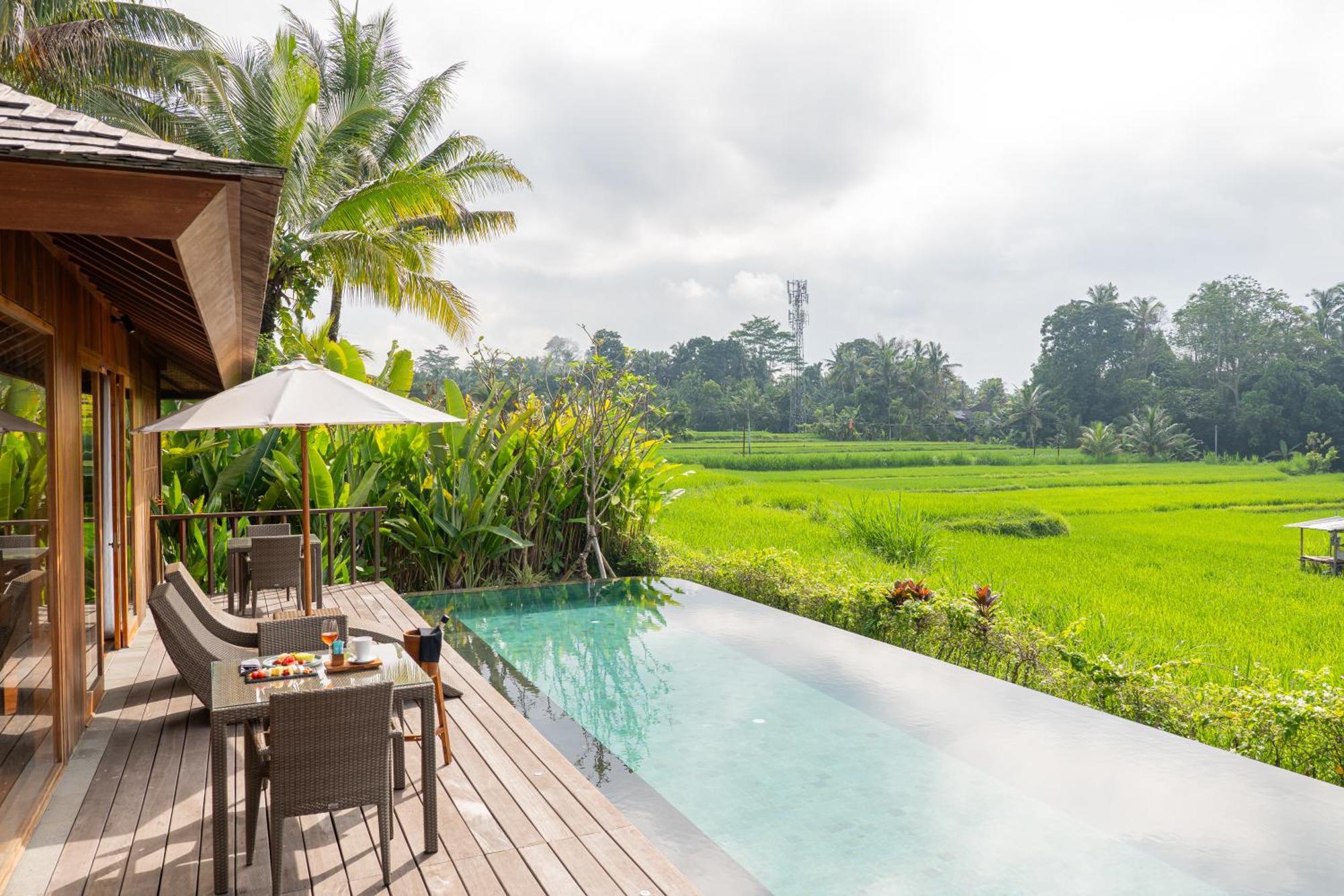 Kappa Senses Ubud 객실 사진