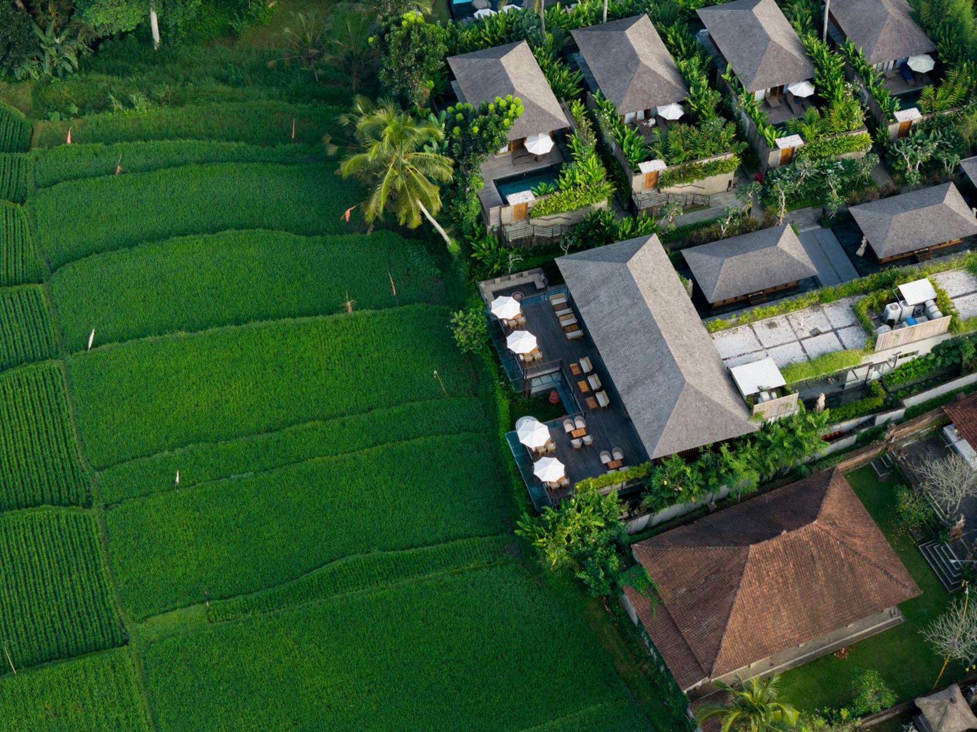 Kappa Senses Ubud 외부 사진